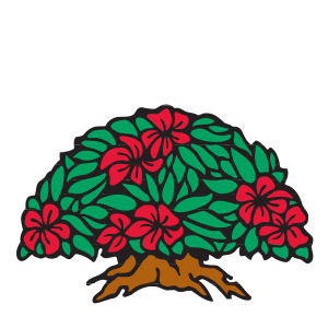 Princeville at Hanalei Kauai, Hawaii