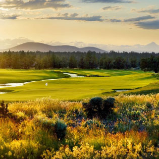 Tom Fazio Championship Course