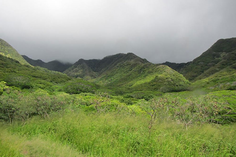 Land Purchased from Ko Olina Resort Developer added to Nature Reserve