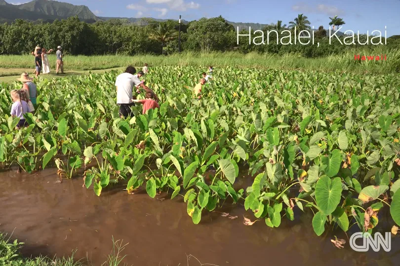 A Nature-first Approach To Education
